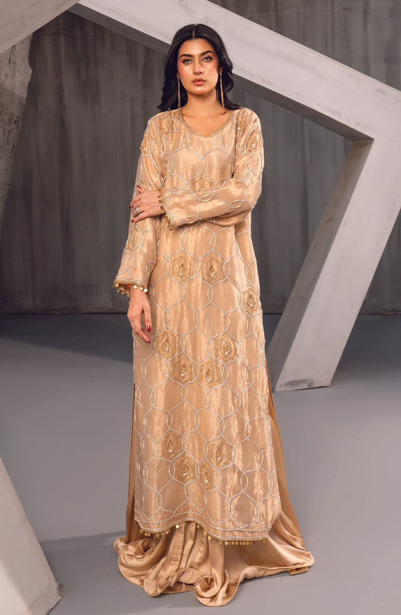 Raya Gold Tissue Lama & Shamoz Dress