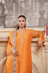 3 Piece - Embroidered Suit - RW25-13