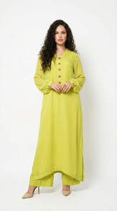 Lime Green Chiffon Set
