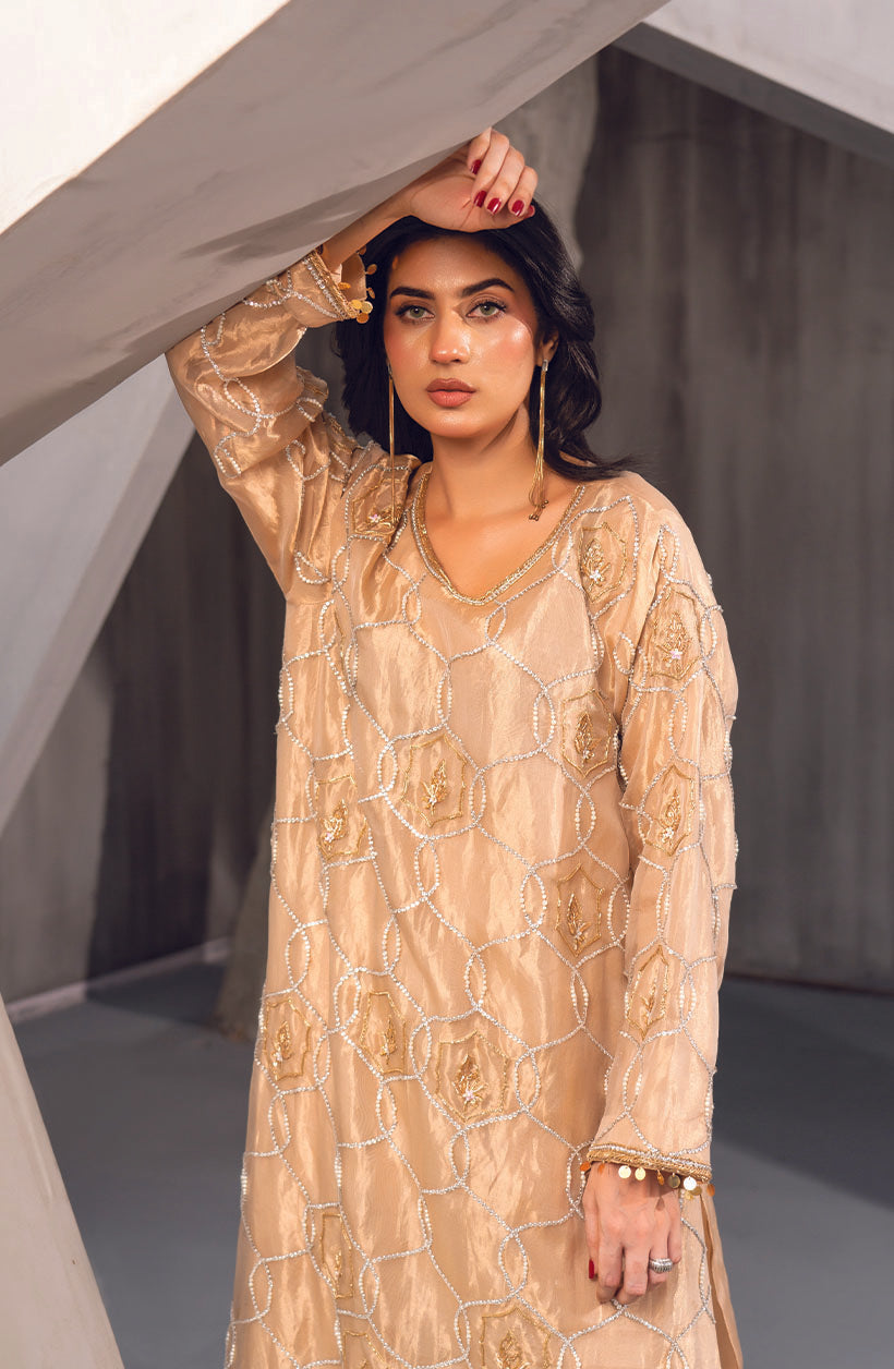 Raya Gold Tissue Lama & Shamoz Dress