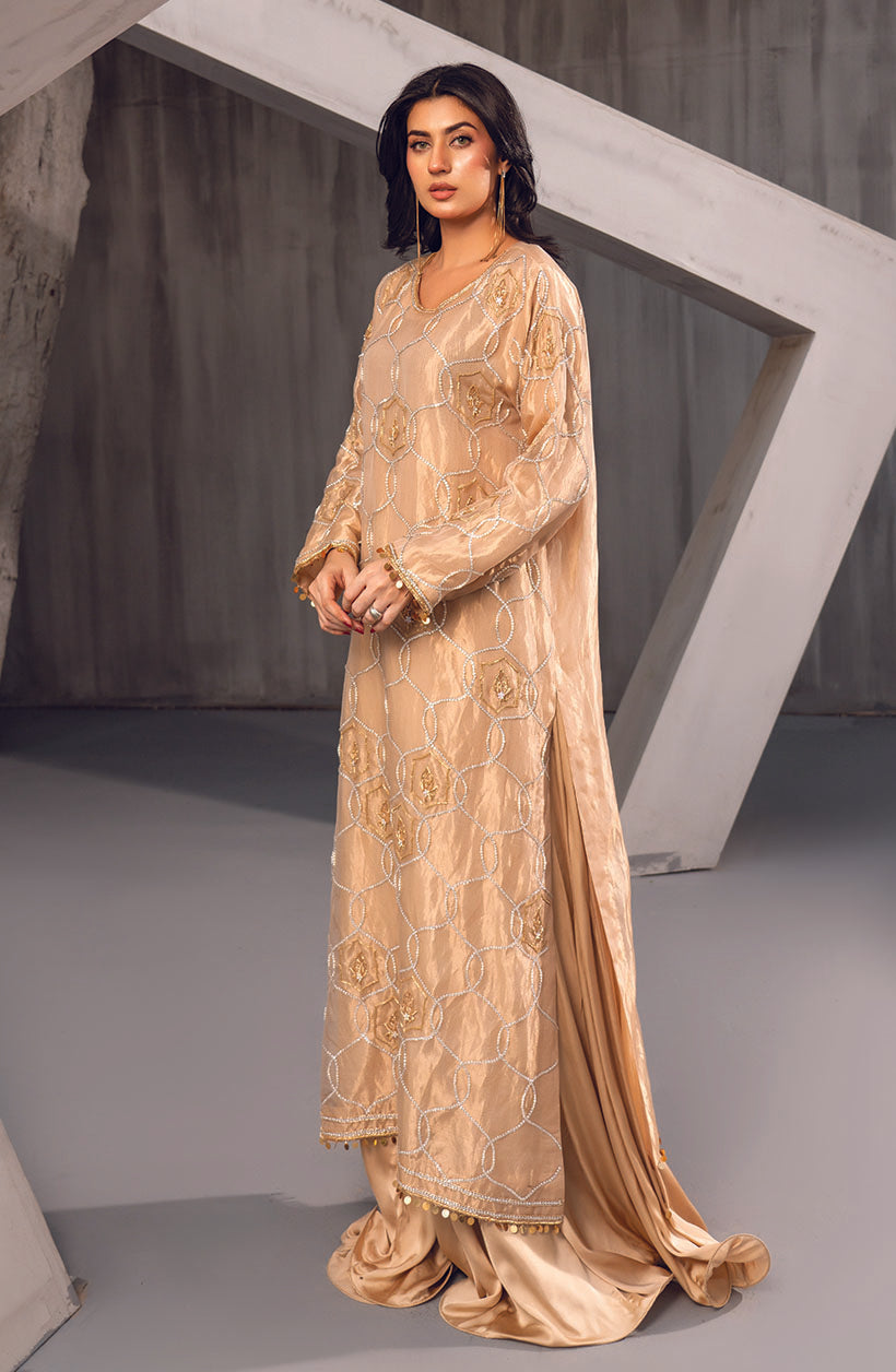 Raya Gold Tissue Lama & Shamoz Dress