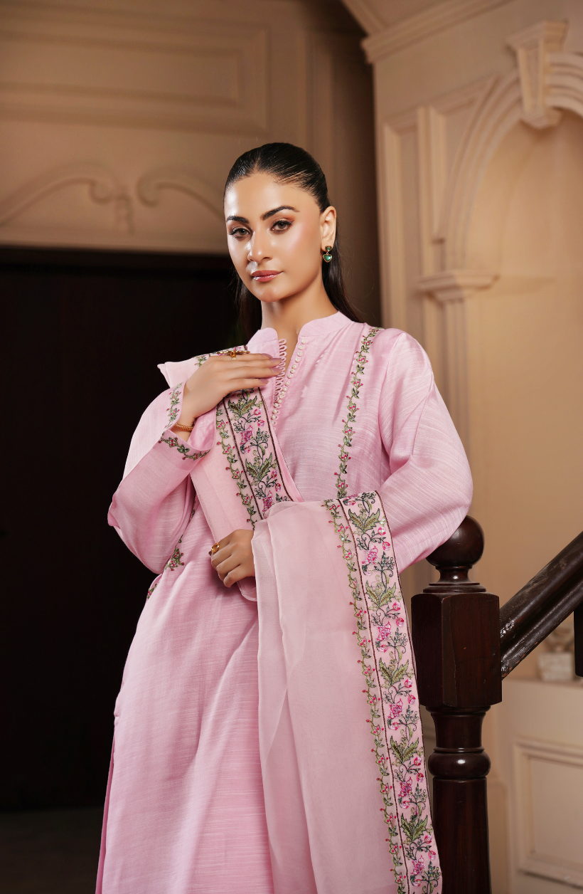 3 Piece - Embroidered Suit - RW25-11
