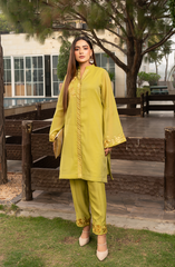 Parrot Green 2 Piece Suit