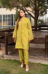 Parrot Green 2 Piece Suit